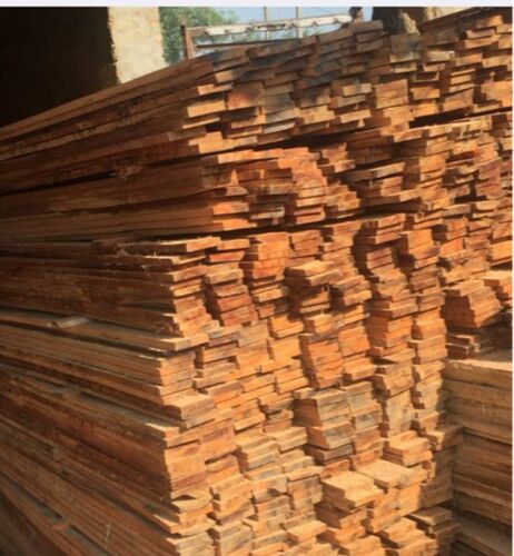 Eucalyptus Wood Logs