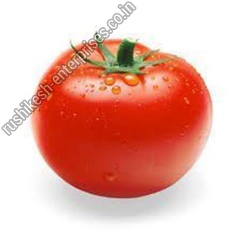 fresh tomato