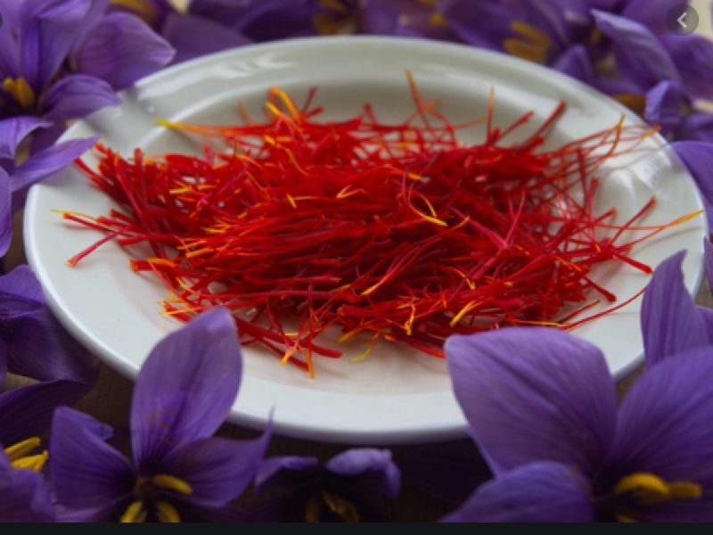 kashmir saffron