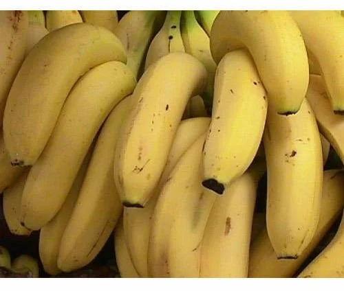 fresh banana