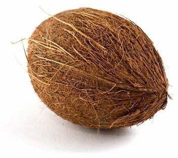 Natural Fresh Brown Coconut, for Good Taste, Healthy, Packaging Type : Jute Bags, PP Bag