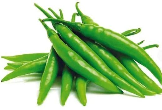 fresh green chilli