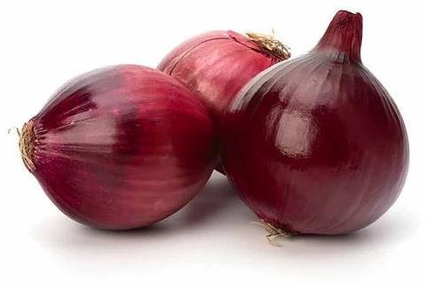Round Natural Fresh Onion, For Good Nutritions, Good Health, Onion Size Available : Medium