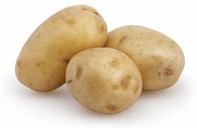 Natural Fresh Potato, for Cooking, Packaging Type : Jute Bag