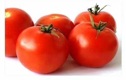 fresh tomato