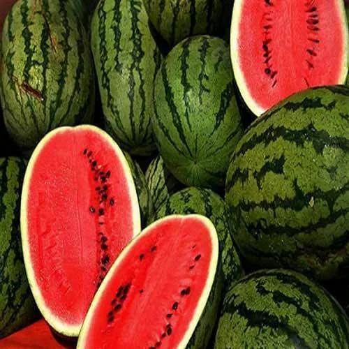 Natural Fresh Watermelon, for Human Consumption, Packaging Type : Paper Box, Jute Bag