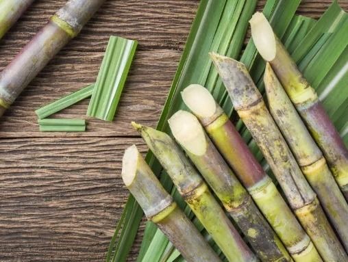 Round Natural Organic Sugarcane, for Sweet Taste, Packaging Type : Loose