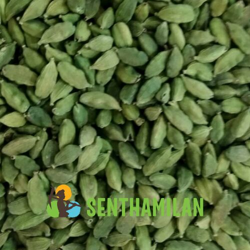 Senthamilan Common Green Cardamom 6.5mm-7.5mm, for Food Beverages