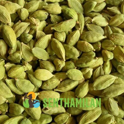 Senthamilan Common Green Cardamom 8mm, for Food Beverages