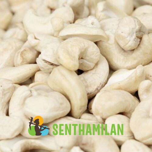 Senthamilan Steamed W210 Cashew Nuts, Shelf Life : 12 Months