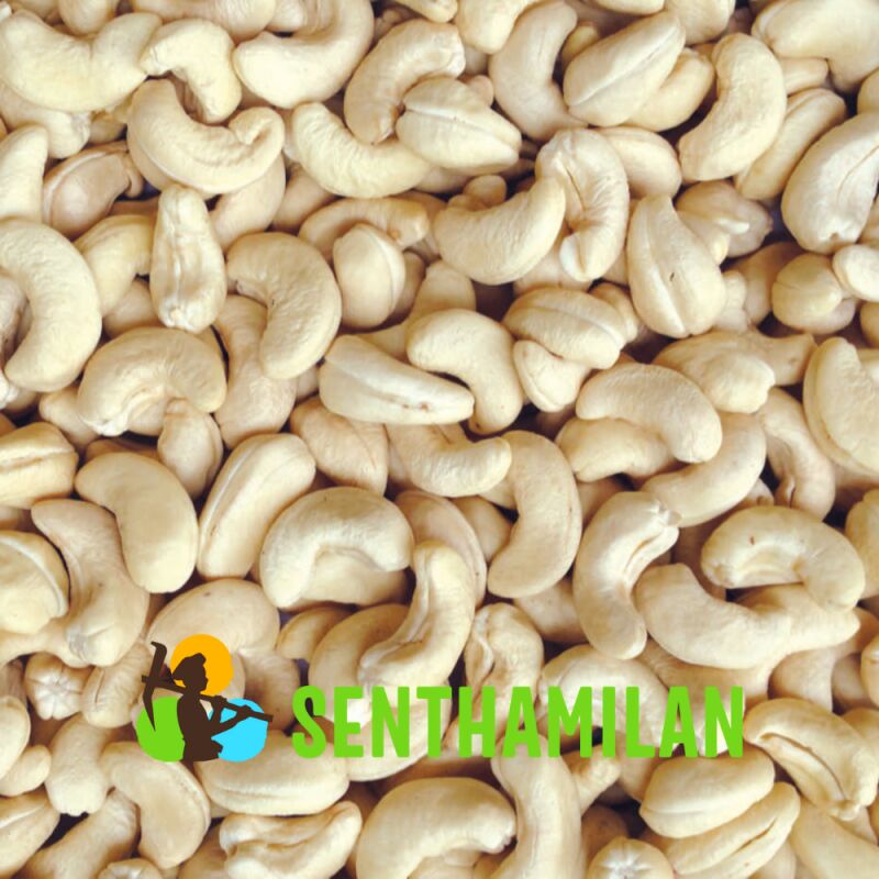 W240 Benin Cashew Nuts