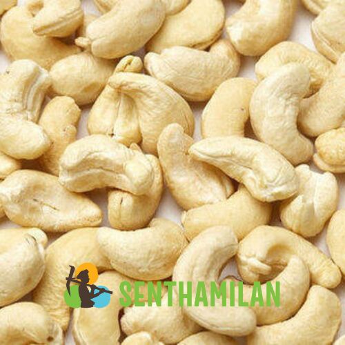 Senthamilan 10kg W240 Imported Cashew Nuts, for Food Beverages