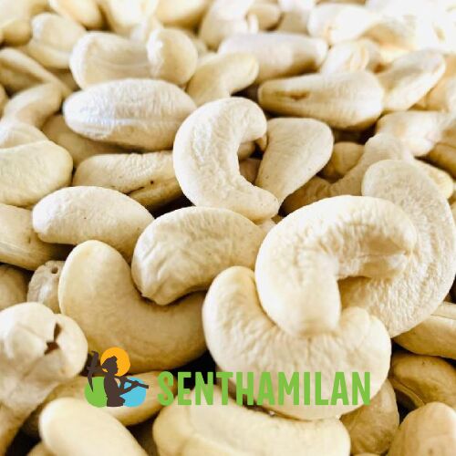 W240 Indian Cashew Nuts, Shelf Life : 12 Months