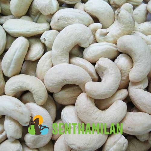Senthamilan W320 Indian Cashew Nuts, Shelf Life : 12 Months