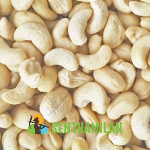 W450 Imported Cashew Nuts