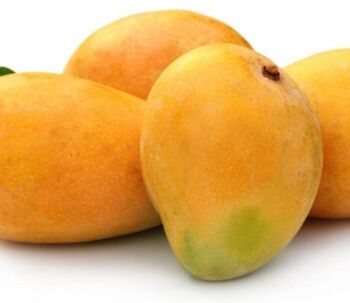 Langra Mango, Packaging Size : 50-100 kg