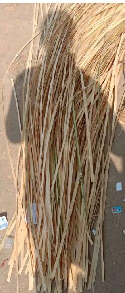 Bamboo Flat Sticks, for Home, Office, Pooja, Religious, Temples, Color : White
