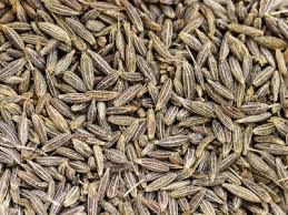 cumin seed