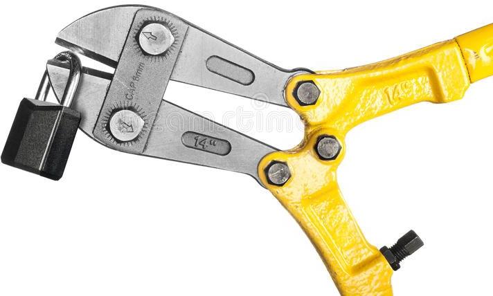 Bolt cutters