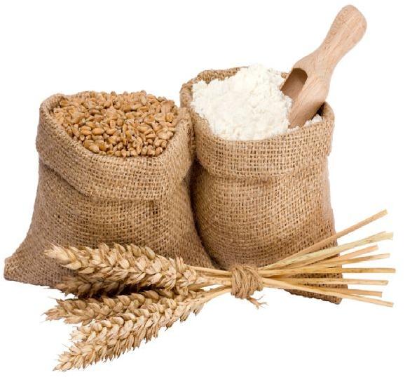 Organic wheat flour