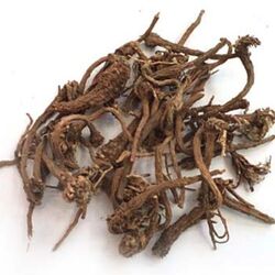 Akarkara herb, Packaging Size : 1kg-5 Kg