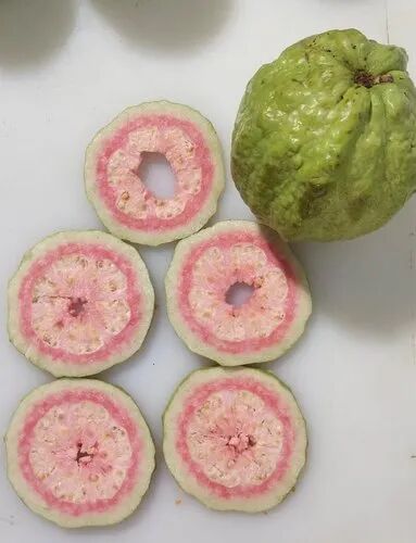 Dehydrated Guava, Packaging Type : Loose