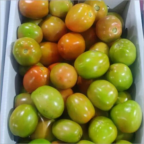 Organic Fresh Tomato, for Cooking, Skin Products, Packaging Type : Plastic Crates