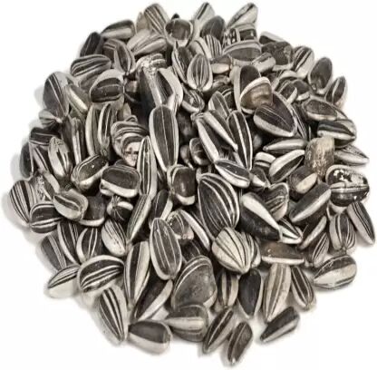 Natural sunflower seeds, for Agriculture, Packaging Type : Plastic Packets