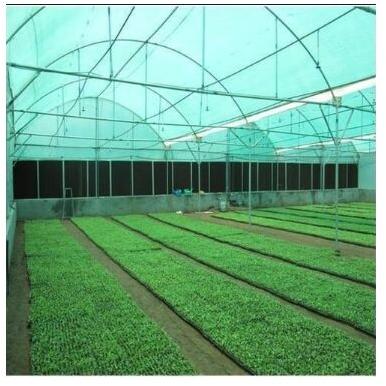 Rectangular HDPE Cultivation Shade Net, For Agriculture, Pattern : Plain