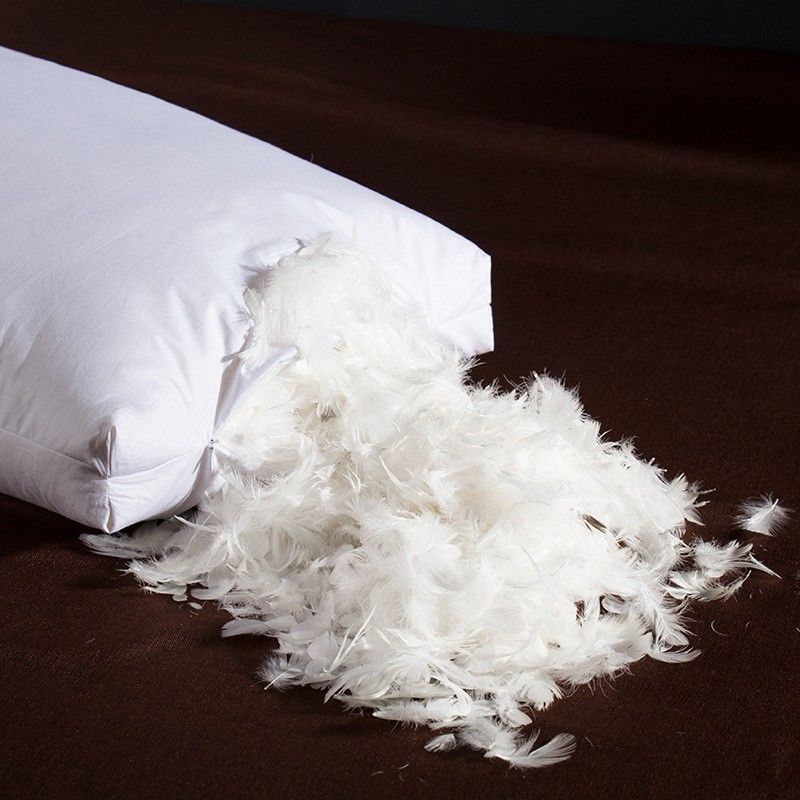 White Goose Feather Pillows