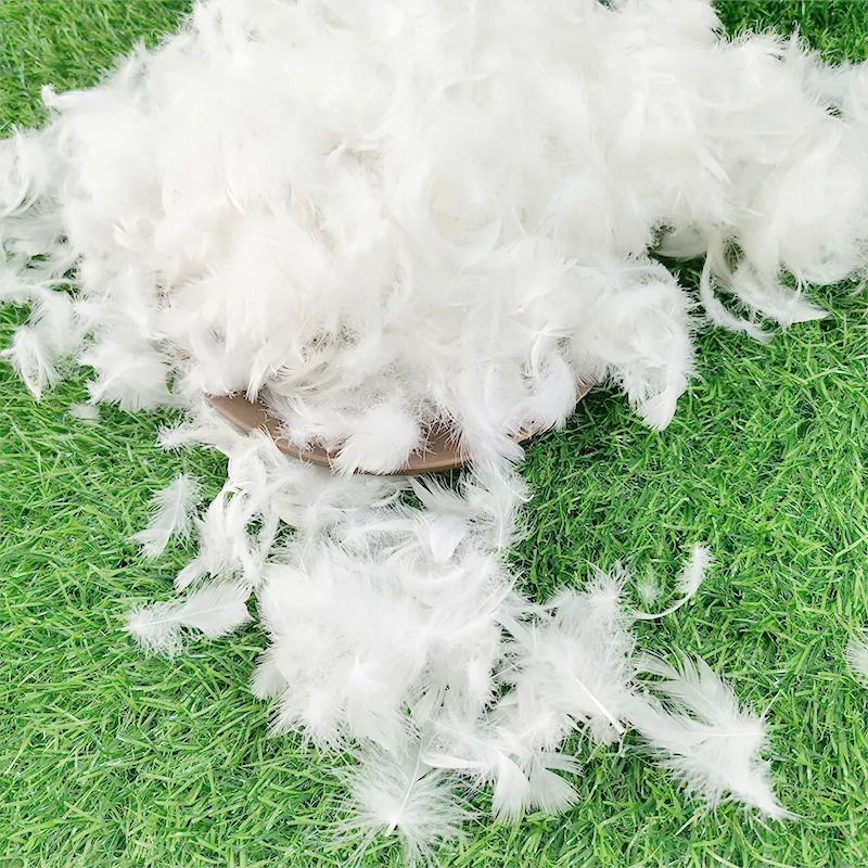 White Duck Feather