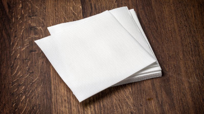 NAPKIN PLAIN 2 PLY