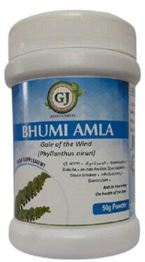 Bhumi Amla powder