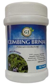 Climbing Brinjal Powder