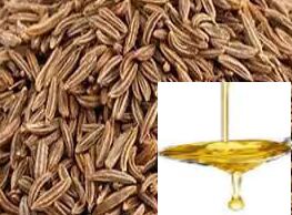 Cumin Oil, for Cooking, Packaging Type : Container