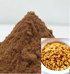 Aushadhi Herbal Natural Fenugreek Extract, for Medicinal, Food Additives, Beauty, Style : Dried