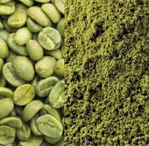 Green coffee extract, Form : Powder