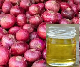 Onion Oil, Shelf Life : 12 month