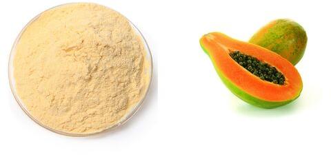 Organic papaya powder, Packaging Type : Plastic Packet