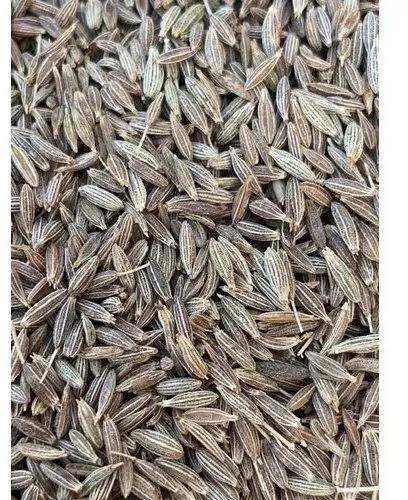 Raw Natural Jeera Seeds, Packaging Type : Plastic Packet