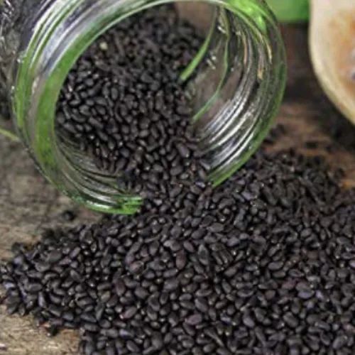 Black Solid Granule Organic Sabja Seeds, for Health Supplement, Medicine, Purity : 99.9%