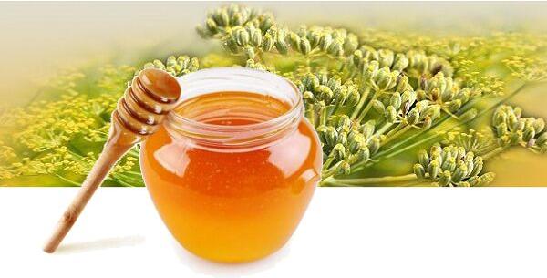 Fennel Honey