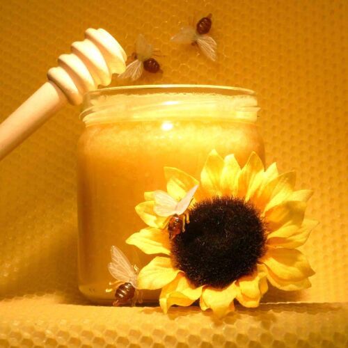 Sunflower Honey, for Personal, Cosmetics, Packaging Type : Glass Jar