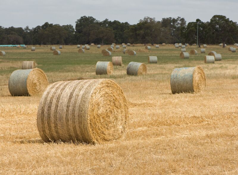 Integrated Biomass Supply Chain Systems