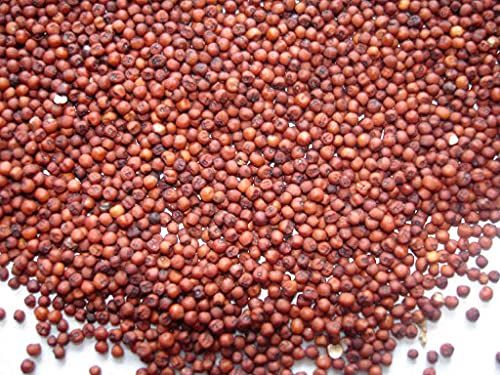 finger millet seeds