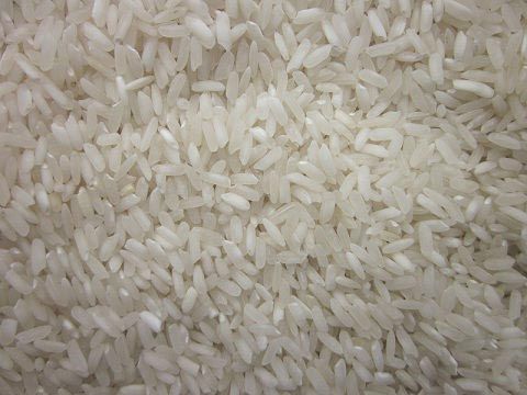 Organic IR8 Raw Rice, Packaging Type : Plastic Sack Bags