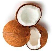 Fresh Organic Coconut