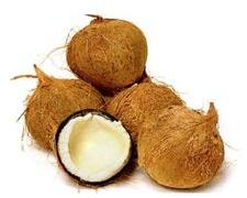 Mature Fresh Coconut
