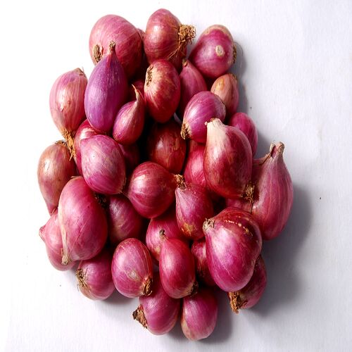 Organic Small Red Onion, Packaging Type : Jute Bags