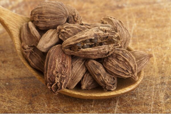 Black Cardamom, Style : Dried, Fresh